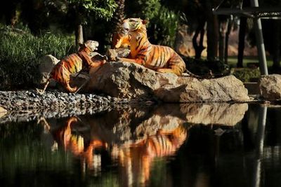 Dubai Garden Glow: Entry Ticket - photo 4