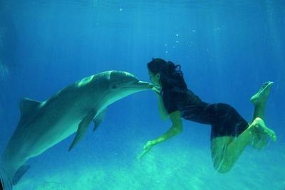 Zoomarine Roma: Reserved Entrance with Dolphins Experience - photo 3