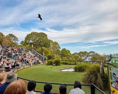 Taronga Zoo Sydney: Entry Ticket + Return Ferry - photo 3