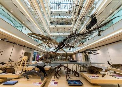 MUSE - Museum of Science: Entry Ticket - photo 4