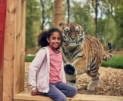 Chessington World of Adventures: Entry Ticket - photo 4