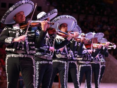 Xcaret Park: Fast Track Ticket - photo 4