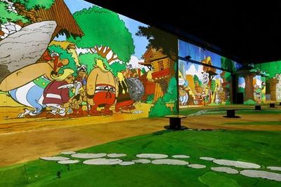 Phoenix des Lumières: Entry Ticket - photo 3