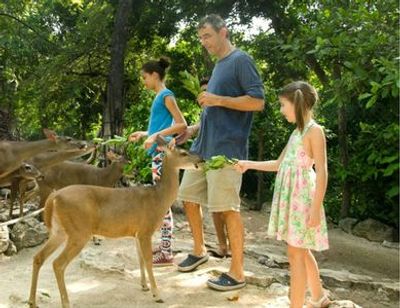 Croco Cun Zoo: Fast Track Ticket - photo 3