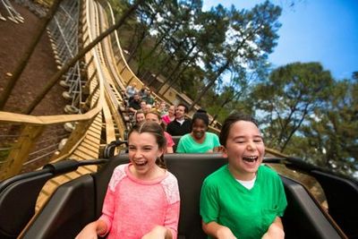 Busch Gardens Williamsburg: Entry Ticket - photo 4