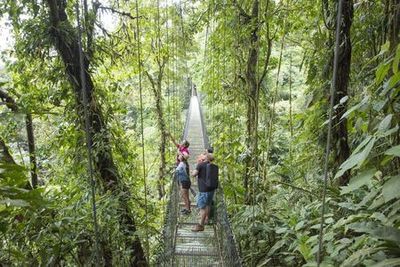 Mistico Arenal Hanging Bridges Park: Entry Ticket - photo 4