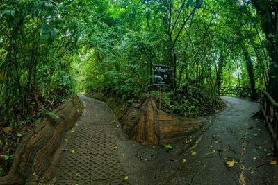 Mistico Arenal Hanging Bridges Park: Entry Ticket - photo 3