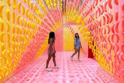 Ice Cream Museum Austin: Entry Ticket - photo 3