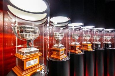 Estádio da Luz & Benfica Museum: Entry Ticket + Scarf Offer - photo 4