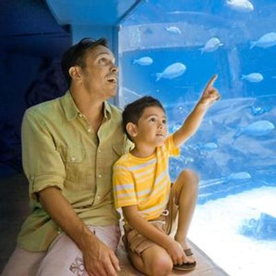 Sea Life Park Hawaii: Entry Ticket - photo 4