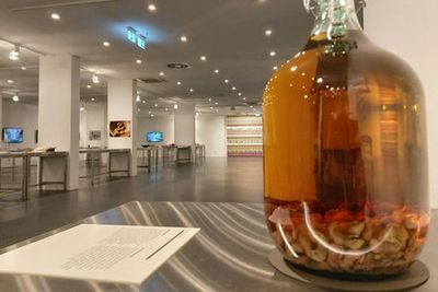 Disgusting Food Museum Berlin: Entry Ticket - photo 3