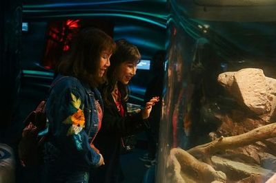 California Academy of Sciences: Nightlife Ticket - photo 3