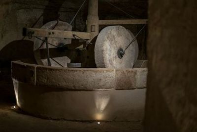 MOOM Matera Olive Oil Museum: Entry Ticket - photo 3