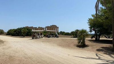 Entrance to Selinunte Archeological Park + Roundtrip Shuttle Service - photo 3