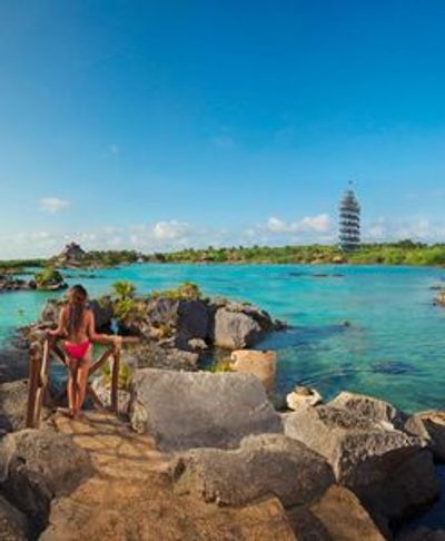 Xel-Há Park: Full Access + Fast Track - photo 4