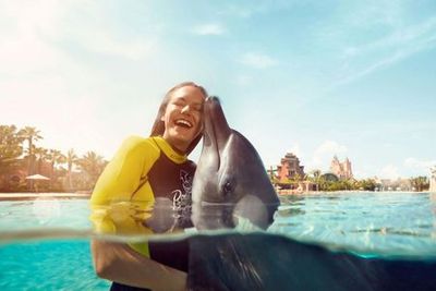 Aquaventure: Entry Ticket + Atlas Village Dolphin Encounter - photo 3