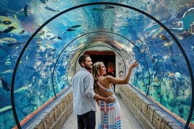 Shark Reef Aquarium at Mandalay Bay: Entry Ticket - photo 4