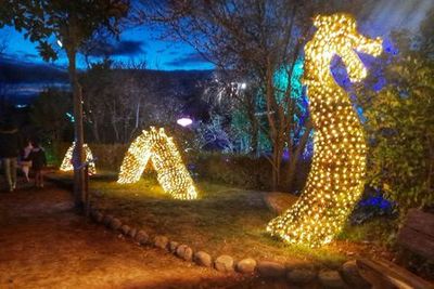 El Bosque Encantado: Entry Ticket - photo 3