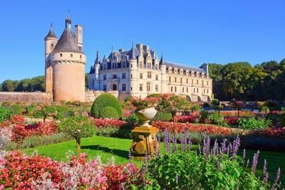 Loire Valley: Day Trip with Castle Entry + Wine Tasting - photo 3