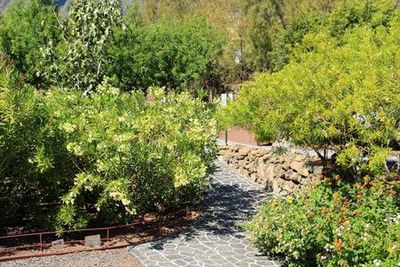 Pyramids of Güímar: Premium Ticket - photo 4