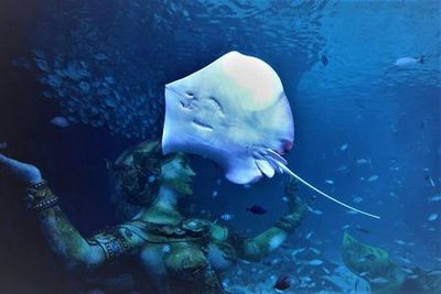 Aquaria Phuket: Entry Ticket - photo 3