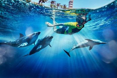 Aquaventure: Entry Ticket + Atlas Village Dolphin Swim - photo 3