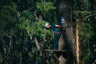 Forest Adventures Park Entry - photo 3