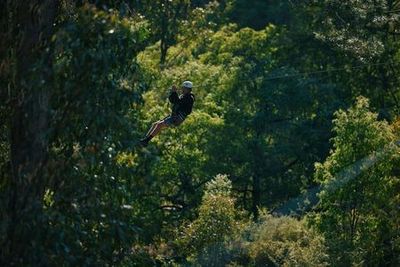 Forest Adventures Park Entry - photo 4