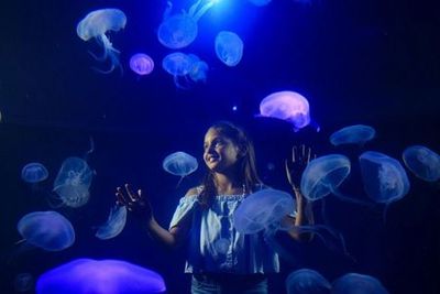 Palma Aquarium: Entry Ticket + Transfer from Calvià Area - photo 4