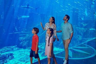 Aquaventure Waterpark: Entry Ticket + Aquarium + Shark Snorkel or Safari - photo 3