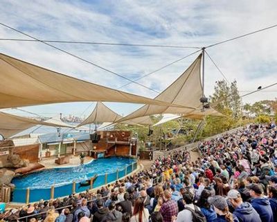 Taronga Zoo Sydney: Entry Ticket - photo 4