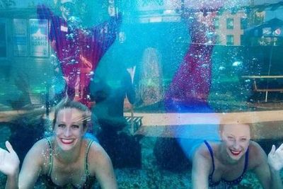 St. Augustine Aquarium: Entry Ticket - photo 3