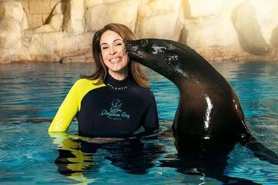 Aquaventure: Entry Ticket + Atlas Village Sea Lion Experience - photo 3