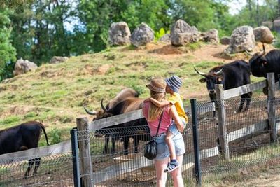 Thot Park: Entry Ticket - photo 3