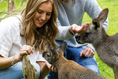 Moonlit Sanctuary Wildlife Conservation Park: Entry Ticket - photo 3