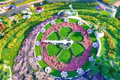 Dubai Miracle Garden: Entry Ticket + Hotel Transfer - photo 3