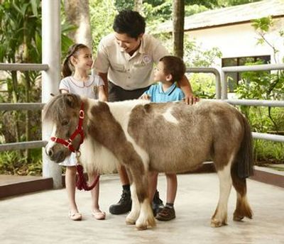 Singapore Zoo: Entry Ticket + Roundtrip Transport - photo 3