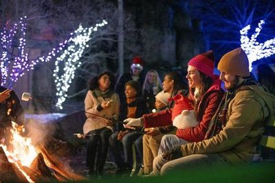 Kennywood Holiday Lights: Entry Ticket - photo 3