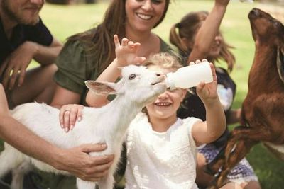 Oakvale Wildlife Park: Entry Ticket - photo 4