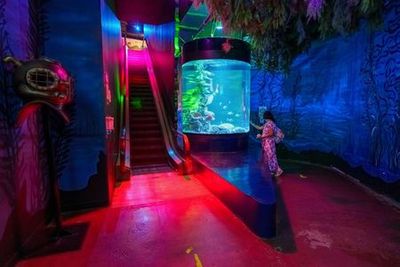 Inbursa Aquarium in Mexico City: Entrance Ticket - photo 3