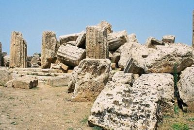 Selinunte Archaeological Park: Entry Ticket + Audio Guide - photo 3