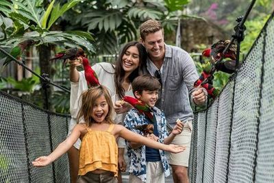 Bali Bird Park: Entry Ticket - photo 3