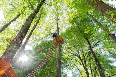 Lake Como Adventure Park Day Access - photo 3