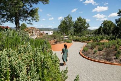 Ibiza Botanical Biotechnology: Skip The Line Ticket - photo 4