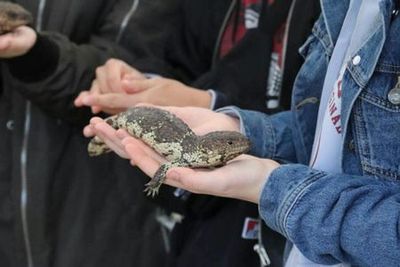 Gorge Wildlife Park: Entry Ticket - photo 4