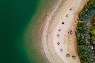 Al Noor Island & Butterfly House: Entry Ticket - photo 3