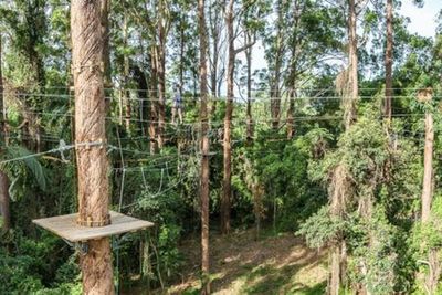 TreeTop Challenge Sunshine Coast: Admission Ticket - photo 3