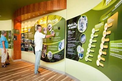 Phillip Island Nature Parks: Koala Conservation Reserve Entry - photo 3