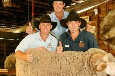 Paradise Country: Entry Ticket + Koala Breakfast - photo 3