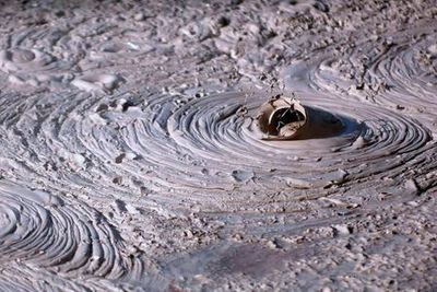 Waiotapu Thermal Wonderland: Entry Ticket - photo 4